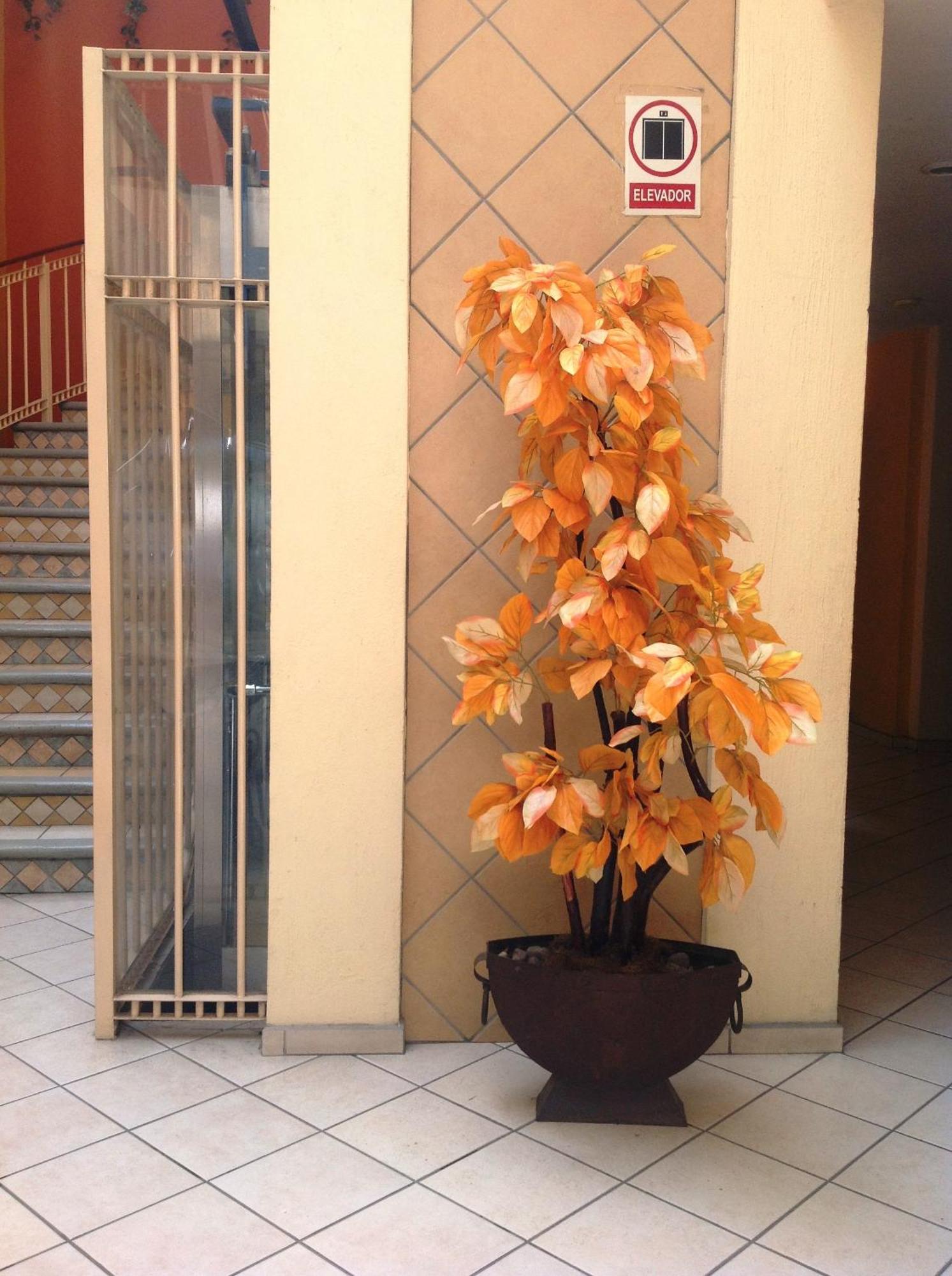 Hotel Plaza Jardin Tequila Exterior foto